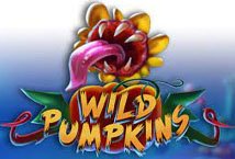 Wild Pumpkins Slot Review